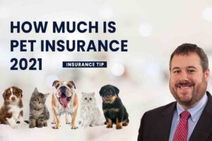 How much is pet insurance