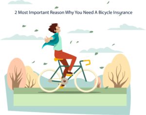 Bicycle Insurance Policy