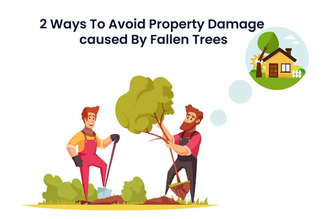 property-damage-2-ways-to-prevent-fallen-trees-damaging-you-home